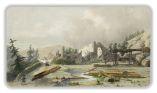 exploitation de bois XIX° siècle