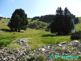 site du jardin alpin