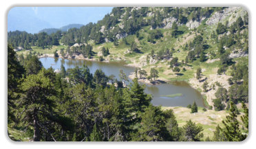 lac Achard en été