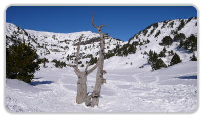 lac Achard en été
