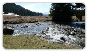 ruisseau, plateau de l'Arselle