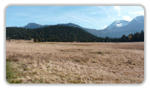 plateau de l'Arselle en octobre