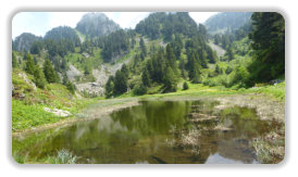 lac des Pourettes