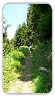 sentier vers le lac Luitel