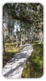 sentier découverte à la tourbière du Luitel