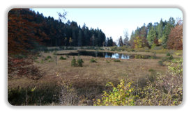 lac Luitel à l'automne